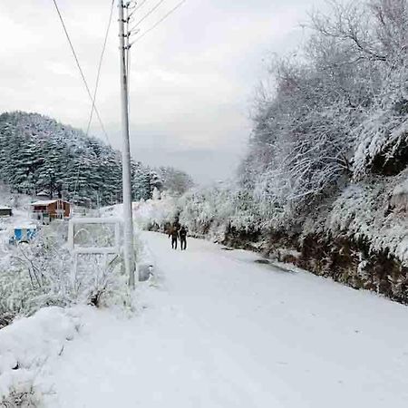 La Riqueza Dhanolti View # Near To Eco Park & Surkanda Devi Temple # Mountain View Rooms With Balcony # Big Parking # Customer Favourite Hotel Dhanaulti Extérieur photo