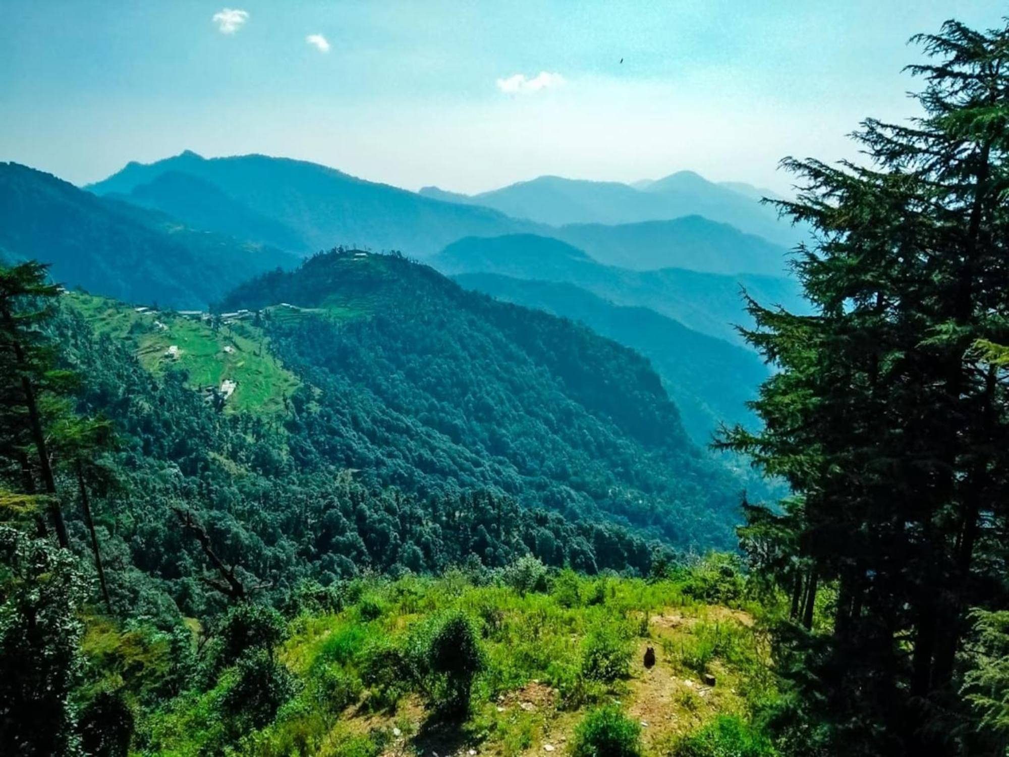 La Riqueza Dhanolti View # Near To Eco Park & Surkanda Devi Temple # Mountain View Rooms With Balcony # Big Parking # Customer Favourite Hotel Dhanaulti Extérieur photo